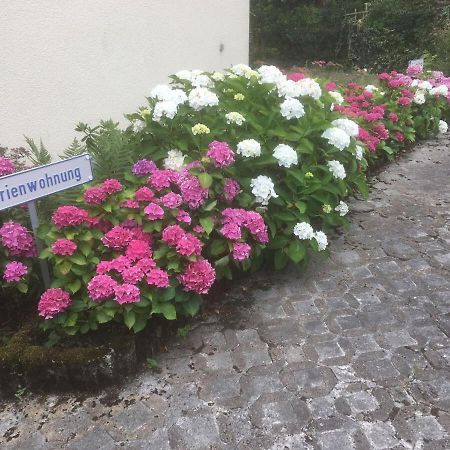Ferienwohnung Sponheim Traben-Trarbach Kültér fotó